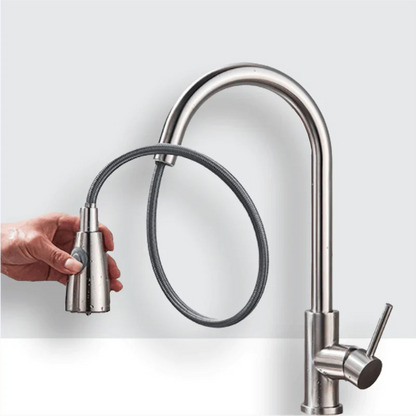 Expansive Gourmet Kitchen Faucet