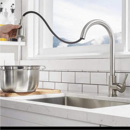 Expansive Gourmet Kitchen Faucet