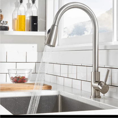 Expansive Gourmet Kitchen Faucet