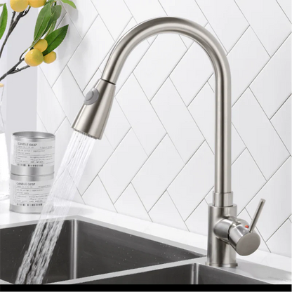 Expansive Gourmet Kitchen Faucet