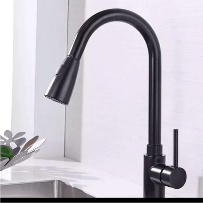 Expansive Gourmet Kitchen Faucet