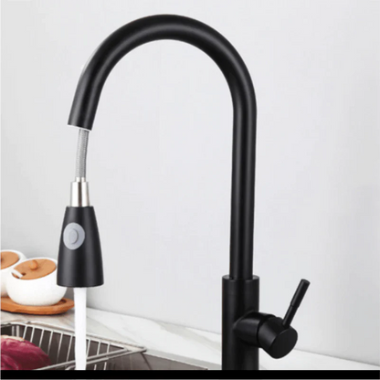 Expansive Gourmet Kitchen Faucet